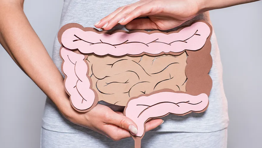 A importância do bom funcionamento do intestino